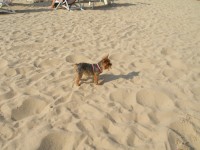 /album/fotogalerie-fotogalerie1/p1010417-jpg1/