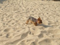 /album/fotogalerie-fotogalerie1/p1010418-jpg1/