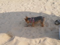 /album/fotogalerie-fotogalerie1/p1010420-jpg1/