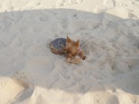 /album/fotogalerie-fotogalerie1/p1010421-jpg/