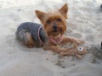 /album/fotogalerie-fotogalerie1/p1010423-jpg/