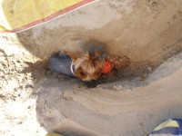 /album/fotogalerie-fotogalerie1/p1010588-jpg/