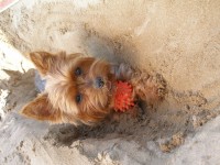 /album/fotogalerie-fotogalerie1/p1010589-jpg/