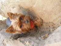 /album/fotogalerie-fotogalerie1/p1010590-jpg/